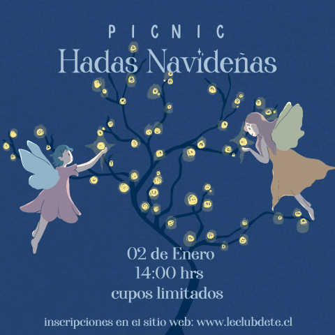 Picnic de Hadas Navideñas